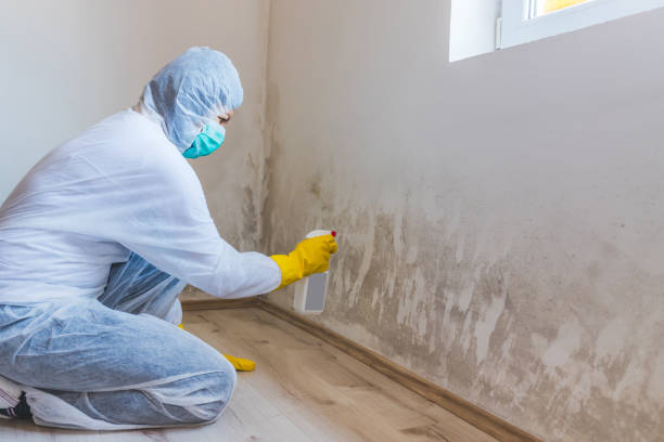 Licensed Attic Mold Remediation service in Fulton, MD - 24 Hour Mold Removal