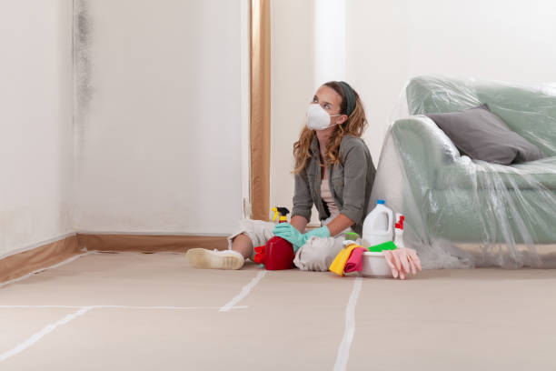 Reliable Attic Mold Remediation contractor in Fulton, MD by 24 Hour Mold Removal