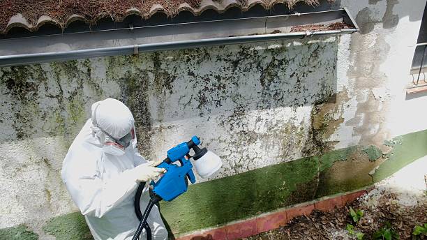 Top rated local Attic Mold Remediation specialists in Fulton, MD